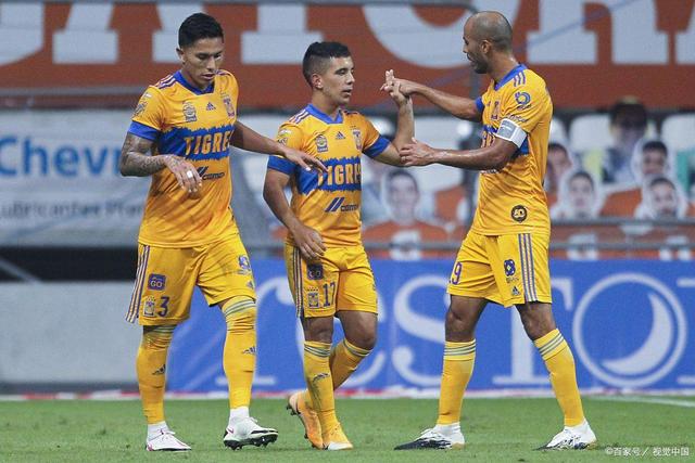 美洲球队表现出色，团队实力大增