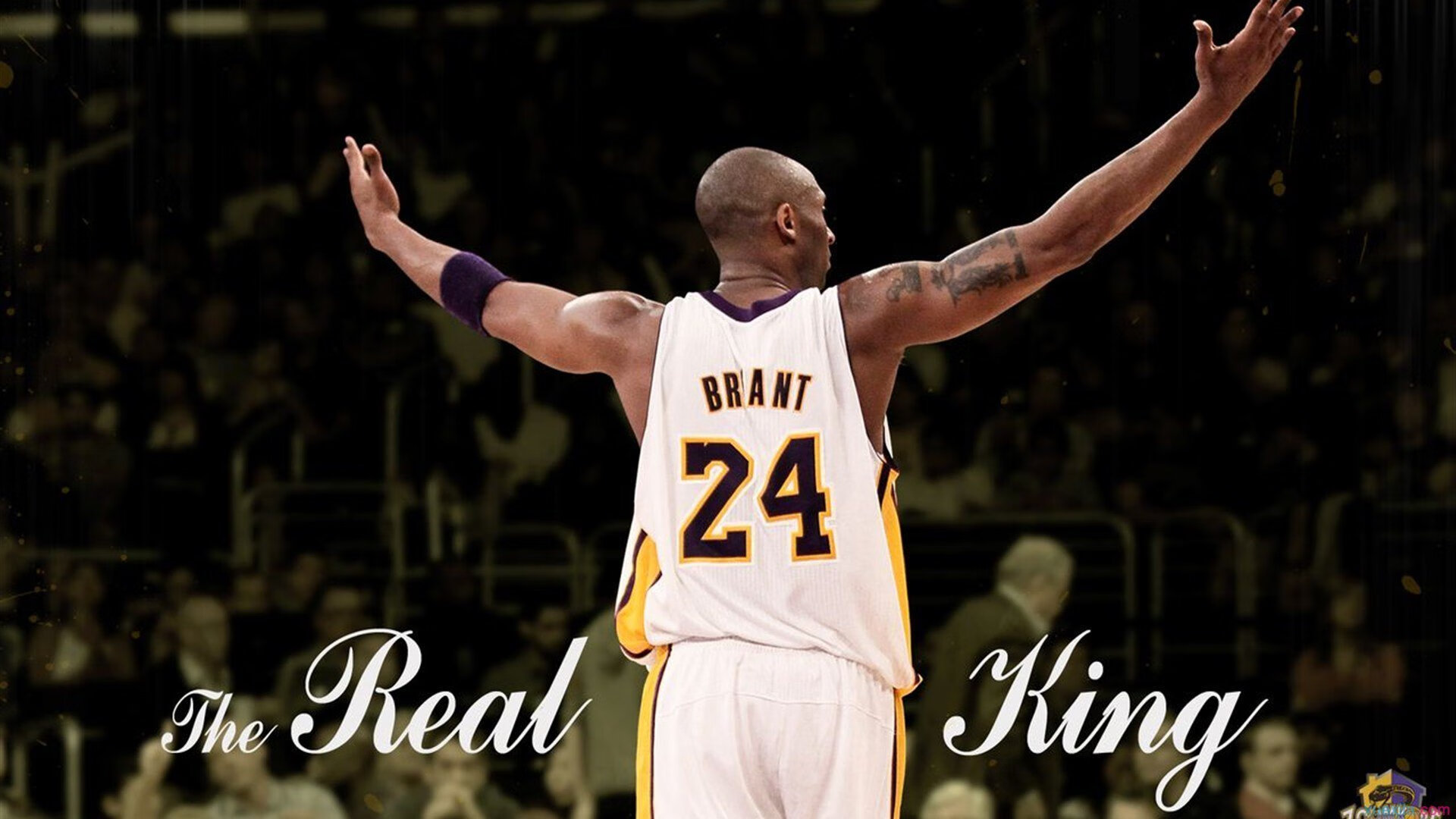 库里教科书式演绎，灰熊淘汰深圳背后的篮球哲学